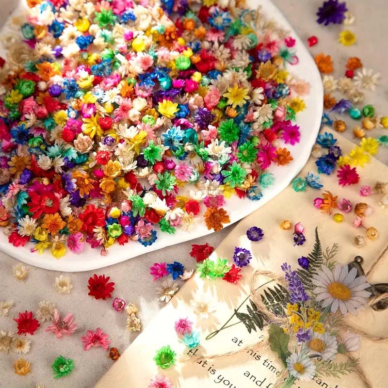 Flor colorida mista para molda - Candle Supplies Bulk avaliação e preço